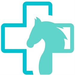 EQmedic - GABINET WETERYNARYJNY dla Koni Poznań Luboń