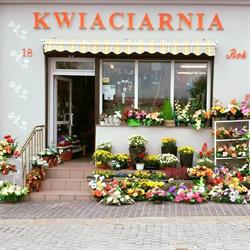 Kwiaciarnia "U Eli"