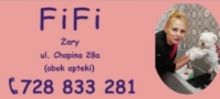 FiFi