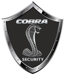 Cobra Security Mariusz Kreft
