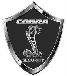 Cobra Security Mariusz Kreft