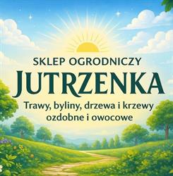 Szkółka Winorośli i truskawek Jutrzenka