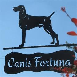 Hotel dla psów i hodowla wyżłów Canis Fortuna