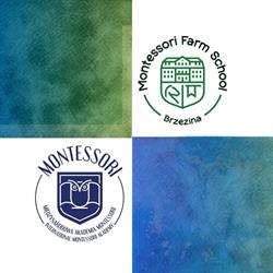 Międzynarodowa Akademia Montessori