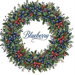 Blueberry Eko Organic Salon