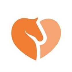 Fundacja "HEARTLAND"