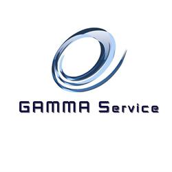GAMMA Service - środki czystości i art. higieniczne