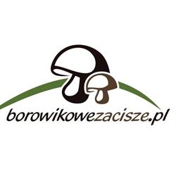 Borowikowe Zacisze - Domki Drewniane