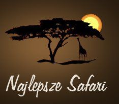 Najlepsze Safari