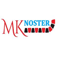 MK NOSTER Kostka brukowa Tuszyn
