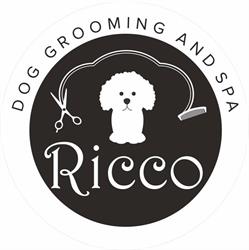 Salon groomerski Ricco