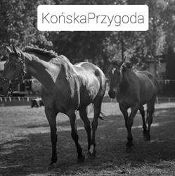 Końska Przygoda