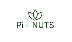 Pi-nuts Sp z o.o.