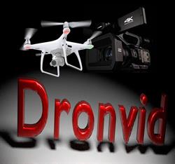 Dronvid