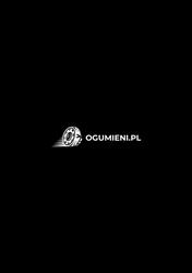 First Stop Ogumieni