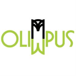 Niepubliczna Szkoła Podstawowa Olimpus