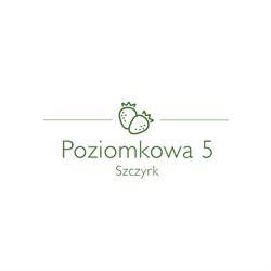 Poziomkowa 5, Dom wakacyjny do wynajęcia