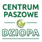 Dziopa Danuta. Handel, produkcja, usługi