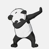 Pandaubezpieczenia