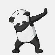 Pandaubezpieczenia