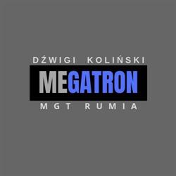 Usługi dźwigowe Megatron Piotr Koliński