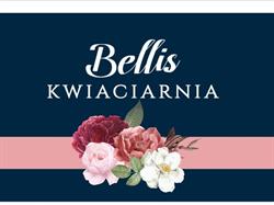 Kwiaciarnia Bellis Osiek nad Notecią
