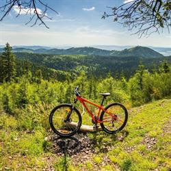 Mobilna Wypożyczalnia Rowerów w Lesku