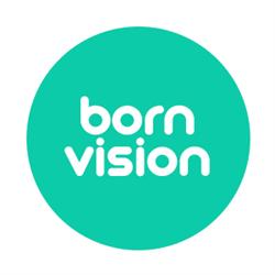 Agencja Interaktywna Bornvision
