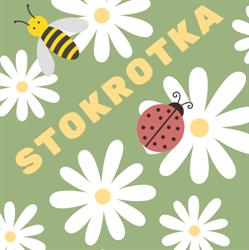 Stokrotka Opieka Dzienna