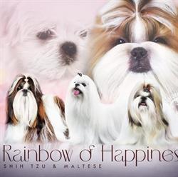 Rainbow Of Happiness FCI - Hodowla Shih-tzu
