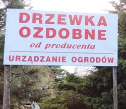 Szkółka Drzew i Krzewów Ozdobnych