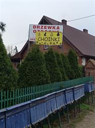 Szkółka Drzew i Krzewów Ozdobnych