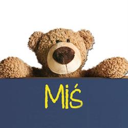 Miś