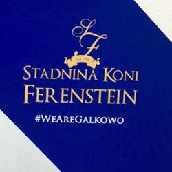 Stadnina Koni Ferensteinów