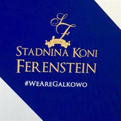 Stadnina Koni Ferensteinów