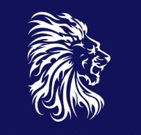 H&O Consulting