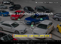 Strona internetowa z Auto Cash