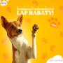 Łap rabaty