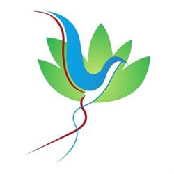 Massage4Health