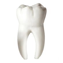 Dentysta Wołomin