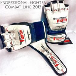 Professional Fighter