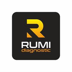 Rumi Diagnostic Okręgowa Stacja Kontroli Pojazdów / Legalizacja Tachografów
