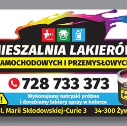 Lakiery Samochodowe