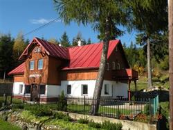 Śnieżynka