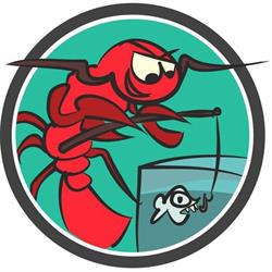 RACZEK Sklep Zoologiczny Sklep Wędkarski