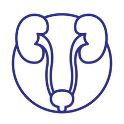 Klinika Urologii i Onkologii Urologicznej PUM w Szczecinie