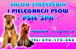 Psie spa strzyżenie psów Koszalin