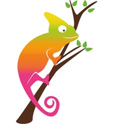 SKLEP ZOOLOGICZNY KAMELEON