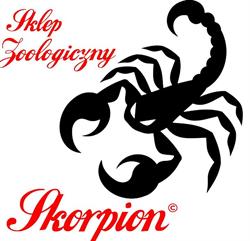 Sklep Zoologiczny Skorpion