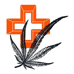 Dr Hempatic - konopne kuracje w Warszawie